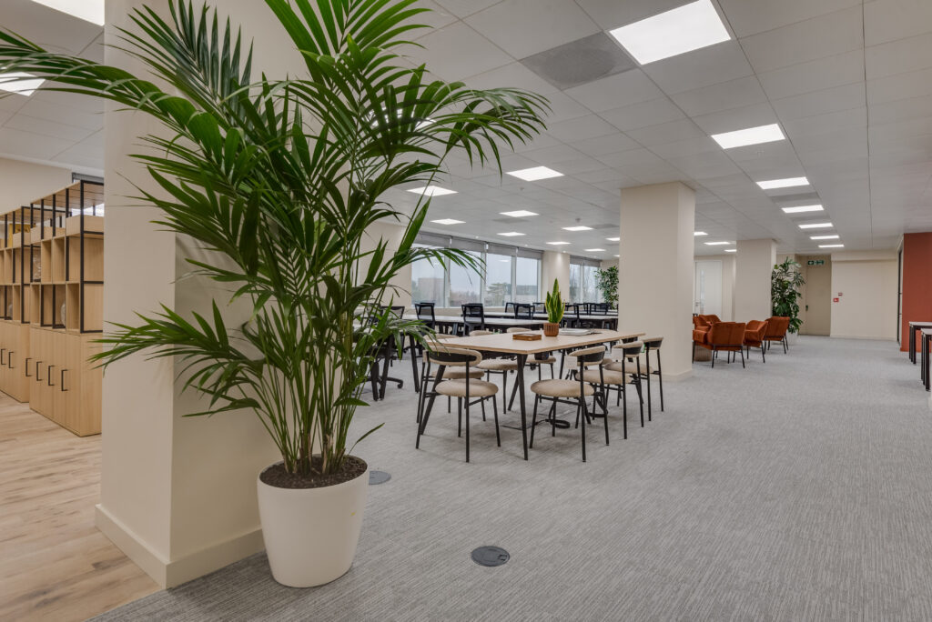 2nd Floor at 3 Shortlands - Managed Enterprise Suite